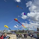 Kite festival Bondi