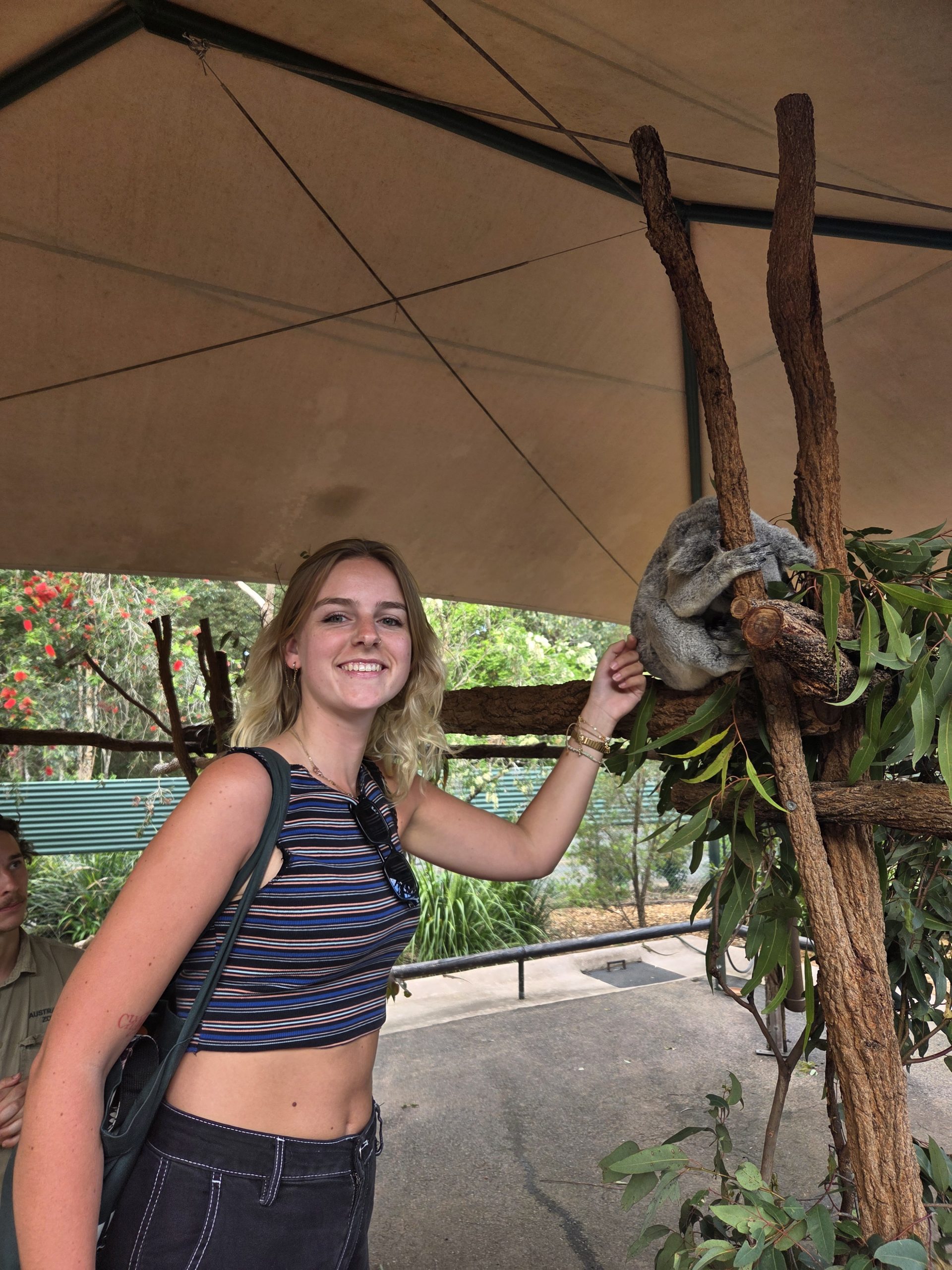 Australia Zoo, Brisbane