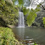 IMG-20251011-WA0119[1]