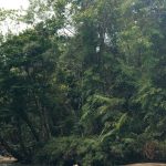 WhatsApp Image 2026-02-16 at 18.02.37